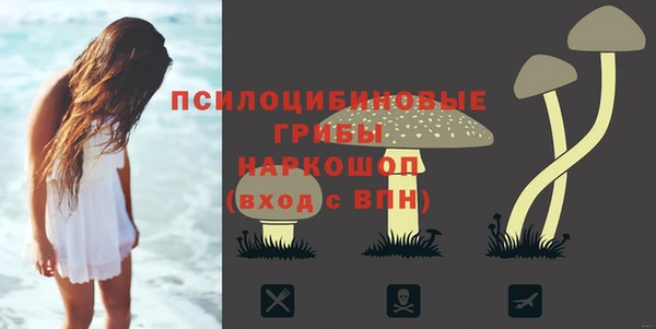 не бодяженный Абдулино