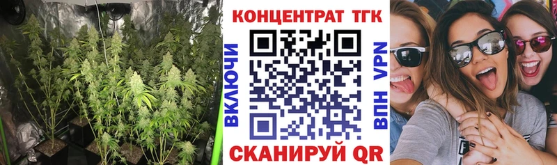 нарко площадка как зайти  Дмитровск  ТГК вейп с тгк  дарнет шоп  blacksprut ссылки 