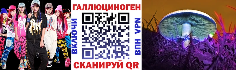 Псилоцибиновые грибы мицелий  Дмитровск 
